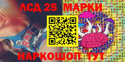 крисы Моздок