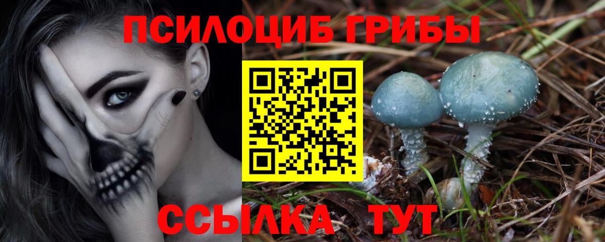 Псилоцибиновые грибы GOLDEN TEACHER Бор