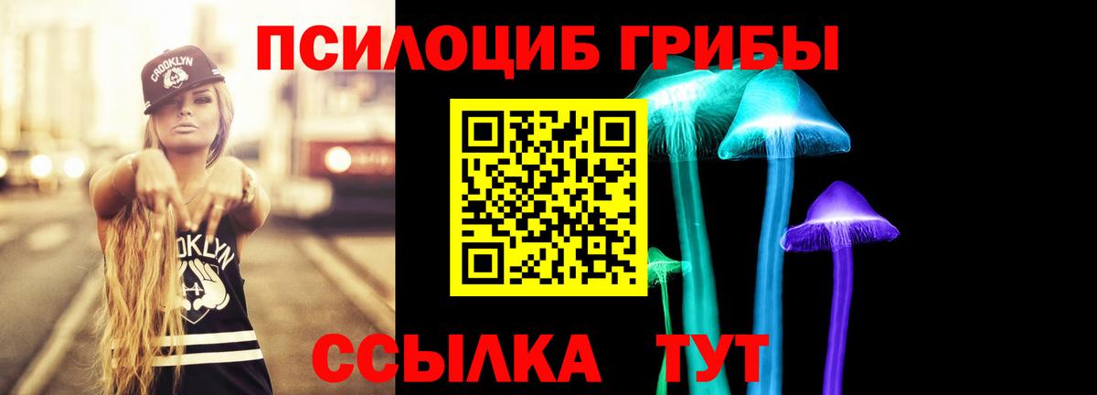 Бор  Псилоцибиновые грибы прущие грибы  Вход с VPN 